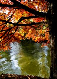 Edith Piaf - Autumn Leaves 